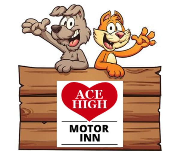 Ace High Motor Inn, Napier – A Pet-Friendly Motel in a Great Location